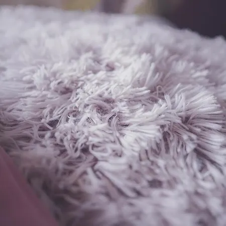 Auberge de jeunesse Double With View