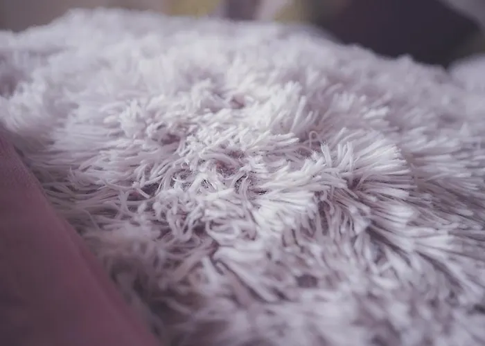 Vandrarhem Double With View